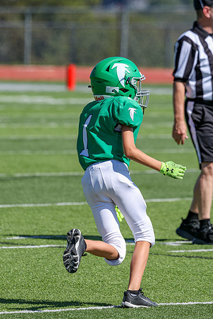 1-Webb-13