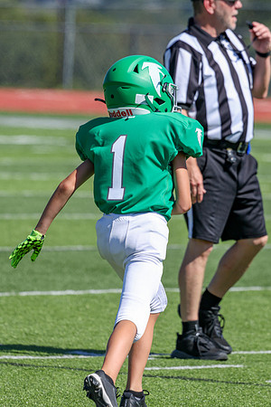 1-Webb-14