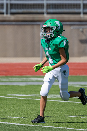 1-Webb-16