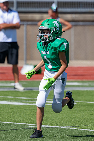 1-Webb-19