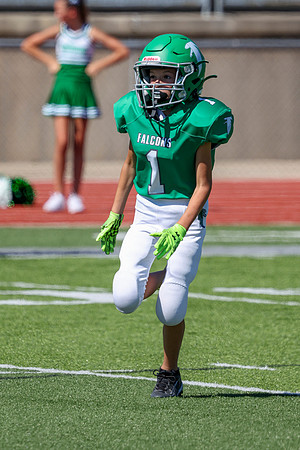 1-Webb-18