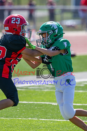 1-Webb-30