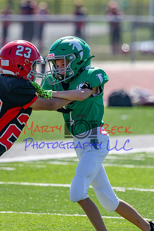 1-Webb-31