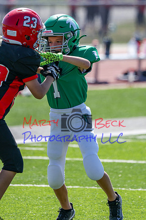 1-Webb-33