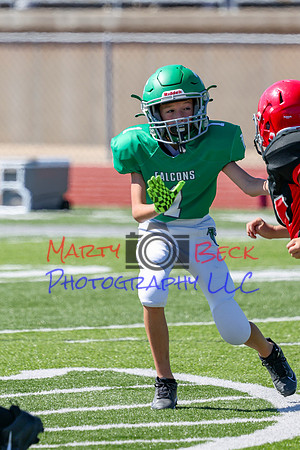 1-Webb-35