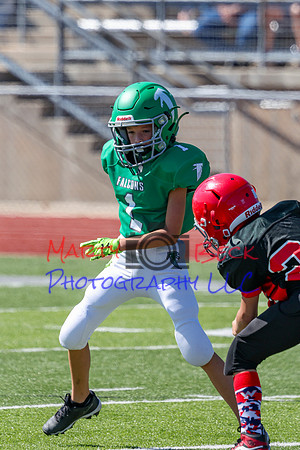 1-Webb-38