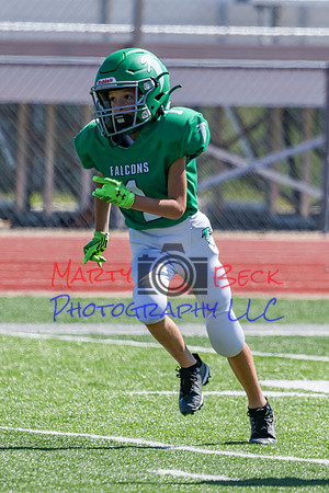 1-Webb-41