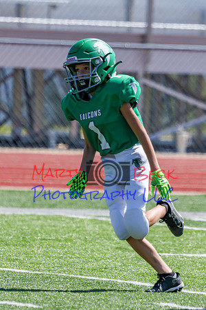1-Webb-42