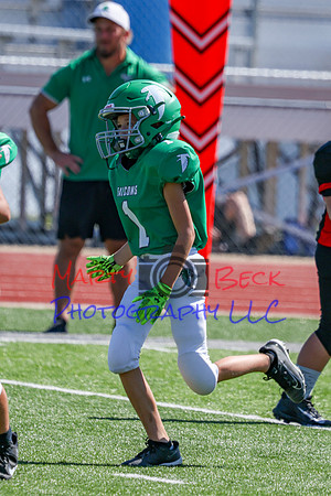 1-Webb-45