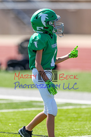 1-Webb-94