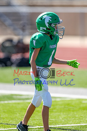 1-Webb-100