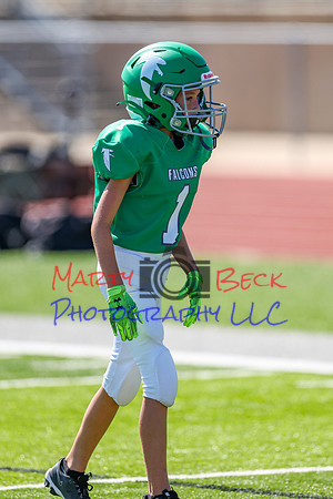 1-Webb-101