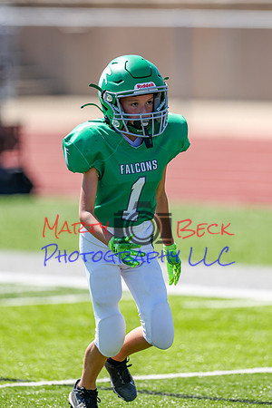 1-Webb-103