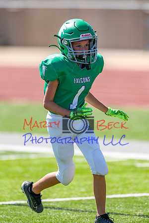 1-Webb-104