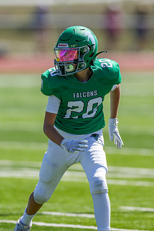 20-Harris-91