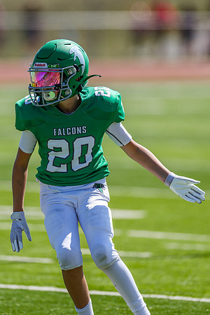 20-Harris-93