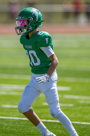 20-Harris-95