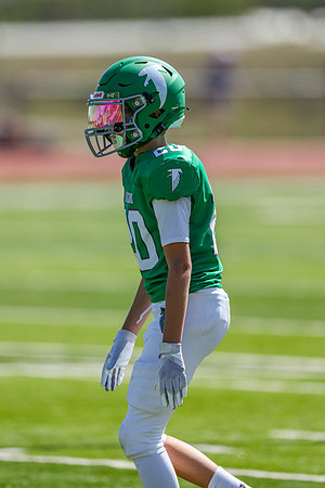 20-Harris-96