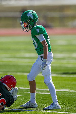 20-Harris-100