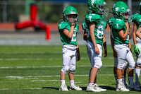2-Duncan-15