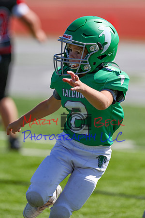 2-Duncan-42
