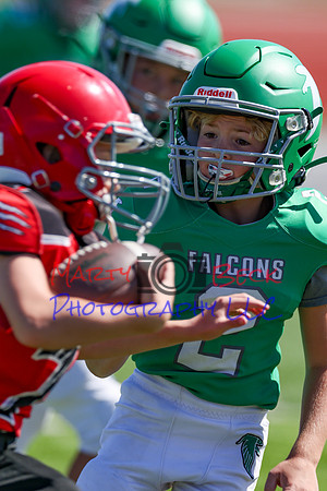 2-Duncan-43