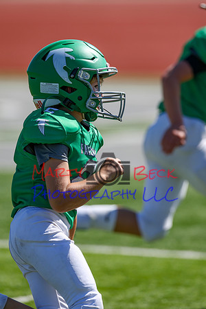 2-Duncan-48