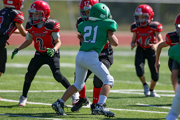21-Kekec-8