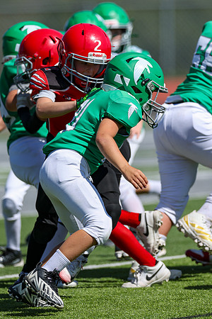 21-Kekec-20