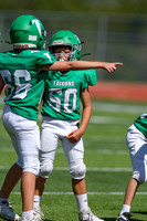 50-Verslues-5