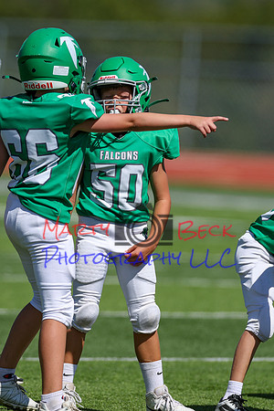 50-Verslues-5