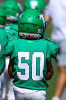 50-Verslues-3