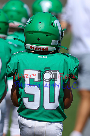 50-Verslues-3