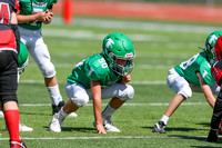 50-Verslues-8
