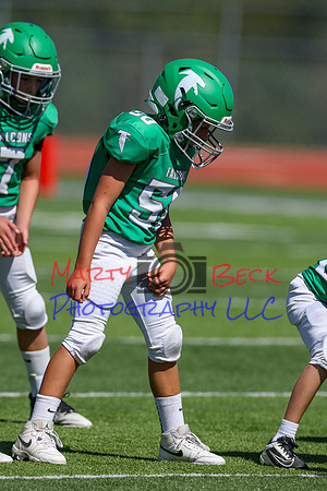 50-Verslues-6