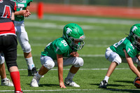 50-Verslues-7