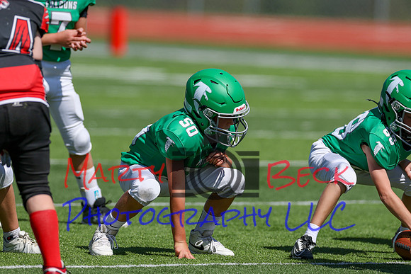 50-Verslues-7