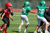 50-Verslues-12