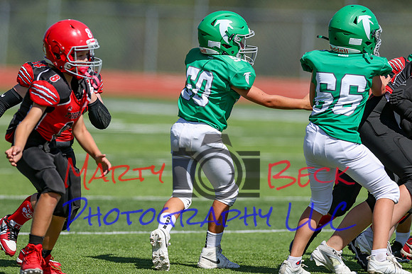 50-Verslues-12