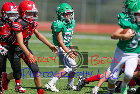50-Verslues-14