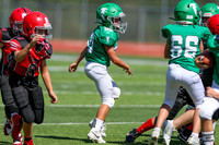 50-Verslues-13
