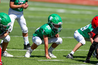 50-Verslues-17