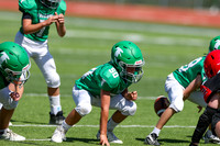 50-Verslues-18