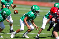 50-Verslues-19