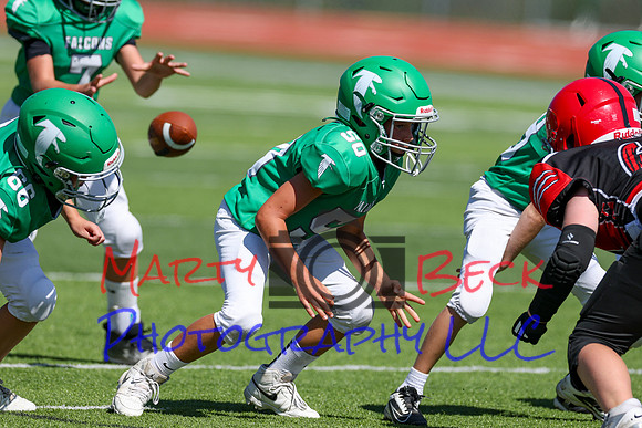 50-Verslues-19