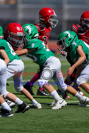 50-Verslues-39