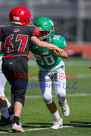 50-Verslues-45