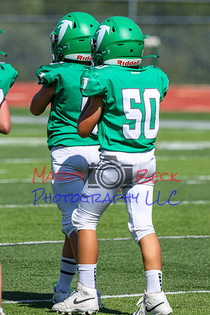 50-Verslues-58