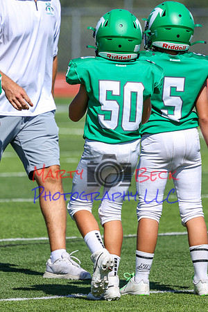 50-Verslues-60
