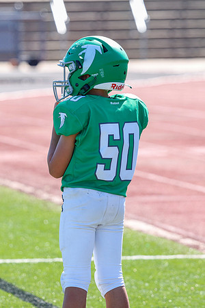 50-Verslues-73